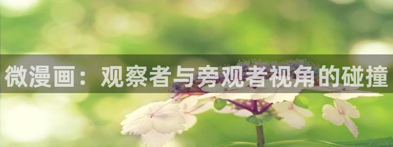歪歪漫画日韩：微漫画：观察者与旁观者视角的碰撞