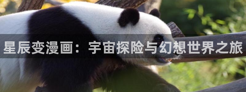 歪歪漫画妖精漫画：星辰变漫画：宇宙探险与幻想世界之旅