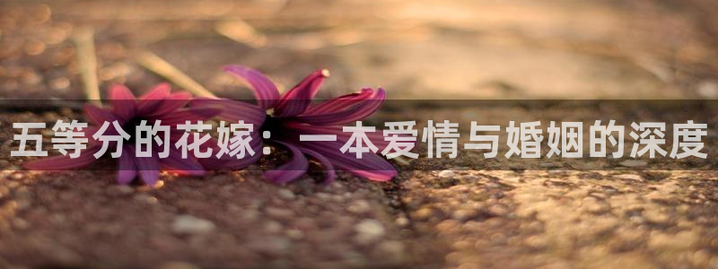 韩国歪歪漫画：五等分的花嫁：一本爱情与婚姻的深度